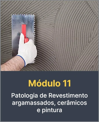 Modulo-11T5.webp