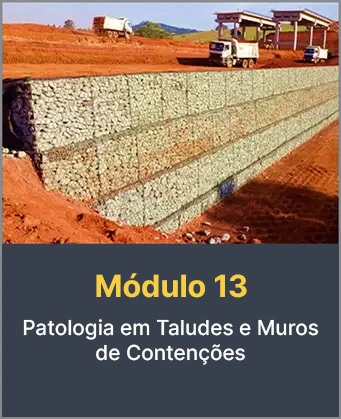 Modulo-13T5.webp